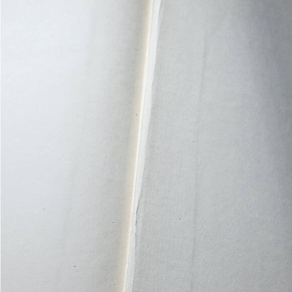 The Growth Of The English Nation By Katherine Coman, Antiquarian 1894 - Picture 3 of 13